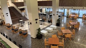 26 02 10 radisson lobby vide